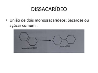 DISSACARÍDEO
• União de dois monossacarídeos: Sacarose ou
açúcar comum .
 
