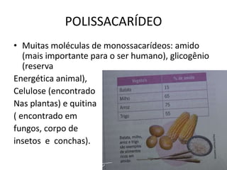 POLISSACARÍDEO
• Muitas moléculas de monossacarídeos: amido
(mais importante para o ser humano), glicogênio
(reserva
Energética animal),
Celulose (encontrado
Nas plantas) e quitina
( encontrado em
fungos, corpo de
insetos e conchas).
 
