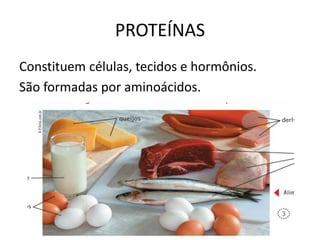 PROTEÍNAS
Constituem células, tecidos e hormônios.
São formadas por aminoácidos.
 