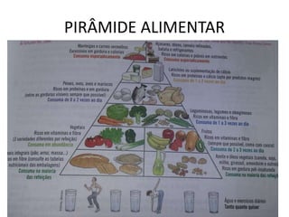 PIRÂMIDE ALIMENTAR
 