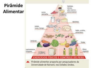 Pirâmide
Alimentar
 