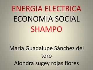 ENERGIA ELECTRICA
ECONOMIA SOCIAL
SHAMPO
María Guadalupe Sánchez del
toro
Alondra sugey rojas flores
 