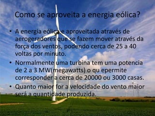 Como se aproveita a energia eólica?
• A energia eólica e aproveitada através de
  aerogeradores que se fazem mover através da
  força dos ventos, podendo cerca de 25 a 40
  voltas por minuto.
• Normalmente uma turbina tem uma potencia
  de 2 a 3 MW(megawatts) o qu epermite
  corresponder a cerca de 20000 ou 3000 casas.
• Quanto maior for a velocidade do vento maior
  será a quantidade produzida.
 