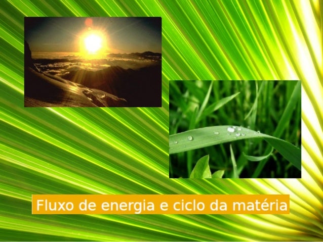  O fluxo de energia é unidirecional.
 A transferência de matéria nos ecossistemas é cíclica.
CONCLUSÃO
 