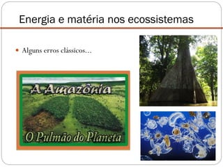  Alguns erros clássicos...
Energia e matéria nos ecossistemas
 