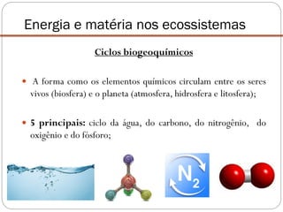 Ciclos biogeoquímicos
 A forma como os elementos químicos circulam entre os seres
vivos (biosfera) e o planeta (atmosfera, hidrosfera e litosfera);
 5 principais: ciclo da água, do carbono, do nitrogênio, do
oxigênio e do fósforo;
Energia e matéria nos ecossistemas
 