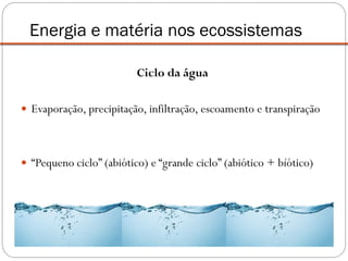 Ciclo da água
 Evaporação, precipitação, infiltração, escoamento e transpiração
 “Pequeno ciclo” (abiótico) e “grande ciclo” (abiótico + bíótico)
Energia e matéria nos ecossistemas
 