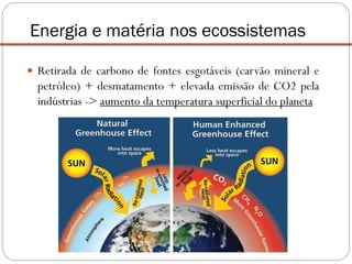  Retirada de carbono de fontes esgotáveis (carvão mineral e
petróleo) + desmatamento + elevada emissão de CO2 pela
indústrias -> aumento da temperatura superficial do planeta
Energia e matéria nos ecossistemas
 