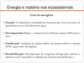 Ciclo do nitrogênio
 Fixação: N2 atmosférico assimilado por bactérias que vivem nas raízes de
leguminosas ou no solo (Rhizobium spp.);
 Decomposição: Plantas e animais mortos liberam amônia (NH4) para o
meio
 Nitrificação: Oxidação da amônia (NH4) em nitratos (NO3-) e nitritos
(NO2-) para reabs. das plantas;
 Desnitrificação: Decomposição de compostos nitrogenados (nitratos e
nitritos) em N2 atmosférico realizado por bactérias desnitrificantes;
Energia e matéria nos ecossistemas
 