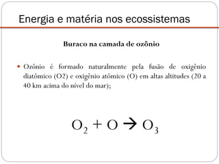 Buraco na camada de ozônio
 Ozônio é formado naturalmente pela fusão de oxigênio
diatômico (O2) e oxigênio atômico (O) em altas altitudes (20 a
40 km acima do nível do mar);
O2 + O  O3
Energia e matéria nos ecossistemas
 