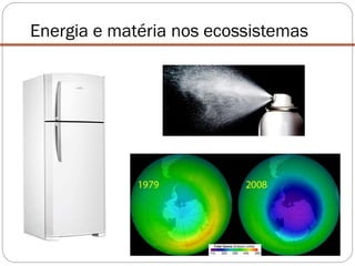 Energia e matéria nos ecossistemas
 