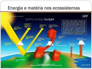 Energia e matéria nos ecossistemas
 