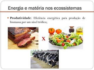  Produtividade: Eficiência energética para produção de
biomassa por um nível trófico;
Energia e matéria nos ecossistemas
X
 
