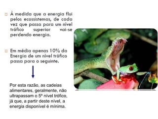 Por esta razão, as cadeias
alimentares, geralmente, não
ultrapassam o 5º nível trófico,
já que, a partir deste nível, a
energia disponível é mínima.

 