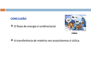 CONCLUSÃO
 O fluxo de energia é unidirecional.
vídeo

 A transferência de matéria nos ecossistemas é cíclica.

 