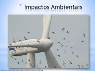 *

                     * Eólica




Retirado de: http://blstb.msn.com/i/D2/1032805BD28F45D0CE28D1F9023.jpg
 