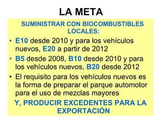 LA META SUMINISTRAR CON BIOCOMBUSTIBLES LOCALES : E10  desde 2010 y para los vehículos nuevos,  E20  a partir de 2012 B5  desde 2008,  B10  desde 2010 y para los vehículos nuevos,  B20  desde 2012 El requisito para los vehículos nuevos es la forma de preparar el parque automotor para el uso de mezclas mayores Y, PRODUCIR EXCEDENTES PARA LA EXPORTACIÓN 