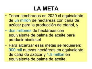 LA META Tener sembrados en 2020 el equivalente de  un millón  de   hectáreas con caña de azúcar para la producción de etanol, y  dos millones  de   hectáreas con equivalente de palma de aceite para producir biodiesel Para alcanzar esas metas se requieren:  900 mil  nuevas hectáreas en equivalente de caña de azúcar y  1.8 millón  en equivalente de palma de aceite 