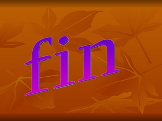 fin 