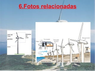 6.Fotos relacionadas 