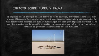 IMPACTO SOBRE FLORA Y FAUNA
El impacto de la energía eólica sobre la vida salvaje, sobretodo sobre las aves
y específicamente los murciélagos, está ampliamente estudiado y documentado. Se
han documentado muertes de aves y murciélagos no sólo por impactos directos sino
por los cambios en la presión atmosférica provocados por el giro de las palas.
También se producen alteraciones en sus hábitats.
 