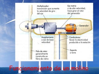 Funcionamiento de un molino
 