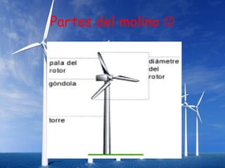 Partes del molino 
 