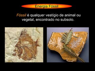 Energia Fóssil

Fóssil é qualquer vestígio de animal ou
   vegetal, encontrado no subsolo.
 