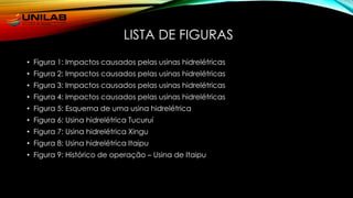 LISTA DE FIGURAS
• Figura 1: Impactos causados pelas usinas hidrelétricas
• Figura 2: Impactos causados pelas usinas hidrelétricas
• Figura 3: Impactos causados pelas usinas hidrelétricas
• Figura 4: Impactos causados pelas usinas hidrelétricas
• Figura 5: Esquema de uma usina hidrelétrica
• Figura 6: Usina hidrelétrica Tucuruí
• Figura 7: Usina hidrelétrica Xingu
• Figura 8: Usina hidrelétrica Itaipu
• Figura 9: Histórico de operação – Usina de Itaipu
 