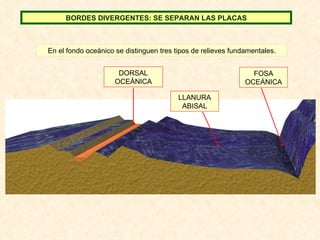 En el fondo oceánico se distinguen tres tipos de relieves fundamentales. BORDES DIVERGENTES: SE SEPARAN LAS PLACAS FOSA OCEÁNICA LLANURA ABISAL DORSAL OCEÁNICA 