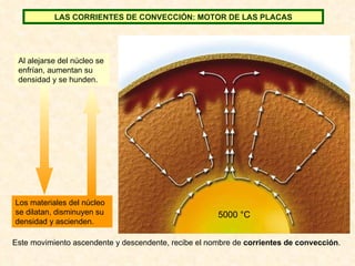 5000 °C Los materiales del núcleo se dilatan, disminuyen su densidad y ascienden. Al alejarse del núcleo se enfrían, aumentan su densidad y se hunden. Este movimiento ascendente y descendente, recibe el nombre de  corrientes de convección . LAS CORRIENTES DE CONVECCIÓN: MOTOR DE LAS PLACAS 