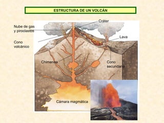 Cámara magmática ESTRUCTURA DE UN VOLCÁN Nube de gas y piroclastos Cono volcánico Lava Cono secundario Chimenea Cráter 