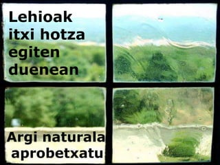 Lehioak itxi hotza egiten dueneanArginaturalaaprobetxatu