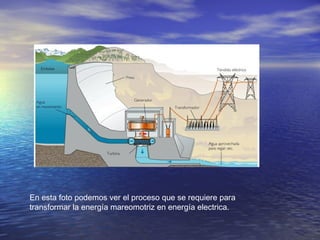En esta foto podemos ver el proceso que se requiere para
transformar la energía mareomotriz en energía electrica.
 