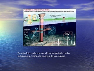 En esta foto podemos ver el funcionamiento de las
turbinas que reciben la energía de las mareas.
 