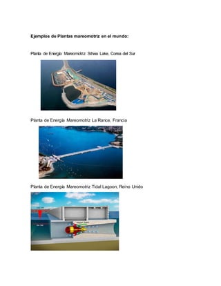 Ejemplos de Plantas mareomotriz en el mundo:
Planta de Energía Mareomotriz Sihwa Lake, Corea del Sur
Planta de Energía Mareomotriz La Rance, Francia
Planta de Energía Mareomotriz Tidal Lagoon, Reino Unido
 