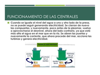 FUNCIONAMIENTO DE LAS CENTRALES 
 Cuando se iguala el nivel del agua a uno y otro lado de la presa, 
no se puede seguir generando electricidad. Se cierran de nuevo 
las compuertas, y nuevamente, poco antes de la pleamar, vuelve 
a aprovecharse el desnivel, ahora del lado contrario, ya que está 
más alta el agua en el mar que en la ría. Se abren las puertas y 
nuevamente la corriente, que ahora procede del mar, acciona las 
turbinas y genera electricidad. 
 