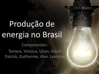 Produção de
energia no Brasil
          Componentes:
  Tamara, Vinicius, Lilian, David
Patrick, Guilherme, Álex, Leandro
 