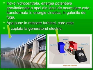 ? Intr-o hidrocentrala, energia potentiala
  gravitationala a apei din lacul de acumulare este
  transformata in energie cinetica, in galeriile de
  fuga.
? Apa pune in miscare turbinei, care este
?    cuplata la generatorul electric.
 