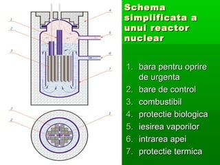 Schema
simplificata a
unui reactor
nuclear


1. bara pentru oprire
   de urgenta
2. bare de control
3. combustibil
4. protectie biologica
5. iesirea vaporilor
6. intrarea apei
7. protectie termica
 
