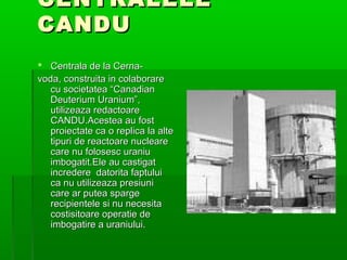 CENTRALELE
CANDU
? Centrala de la Cerna-
voda, construita in colaborare
   cu societatea Canadian
   Deuterium Uranium,
   utilizeaza redactoare
   CANDU.Acestea au fost
   proiectate ca o replica la alte
   tipuri de reactoare nucleare
   care nu folosesc uraniu
   imbogatit.Ele au castigat
   incredere datorita faptului
   ca nu utilizeaza presiuni
   care ar putea sparge
   recipientele si nu necesita
   costisitoare operatie de
   imbogatire a uraniului.
 