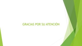 GRACIAS POR SU ATENCIÓN

 