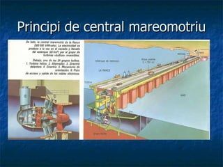 Principi de central mareomotriu 