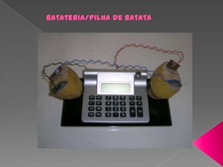 Batateria/pilha de batata 