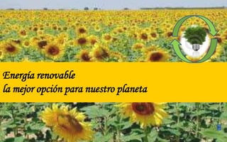 Energía renovable la mejor opción para nuestro planeta 