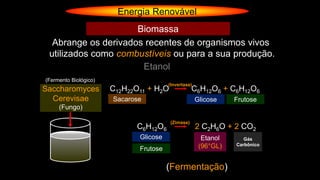 Energia Renovável
Abrange os derivados recentes de organismos vivos
utilizados como combustíveis ou para a sua produção.
Biomassa
Etanol
Saccharomyces
Cerevisae
(Fungo)
C12H22O11 + H2O
(Invertase)
C6H12O6 + C6H12O6
Sacarose Glicose Frutose
C6H12O6
(Zimase)
2 C2H6O + 2 CO2
Glicose Etanol
(96°GL)
Gás
Carbônico
Frutose
(Fermentação)
(Fermento Biológico)
 