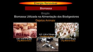 Energia Renovável
Biogás
Biomassa
Biomassa Utilizada na Alimentação dos Biodigestores
Dejetos Animais
0,46 - 0,56 m3 Biogás
(1kg Material Seco)
0,27 - 0,36 m3 Biogás
(1kg Material Seco)
0,52 - 0,62 m3 Biogás
(1kg Material Seco)
 