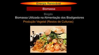 Energia Renovável
Biogás
Biomassa
Biomassa Utilizada na Alimentação dos Biodigestores
Produção Vegetal (Restos de Culturas)
 