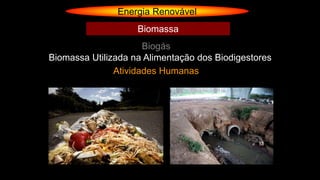 Energia Renovável
Biogás
Biomassa
Biomassa Utilizada na Alimentação dos Biodigestores
Atividades Humanas
 