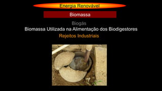 Energia Renovável
Biogás
Biomassa
Biomassa Utilizada na Alimentação dos Biodigestores
Rejeitos Industriais
 